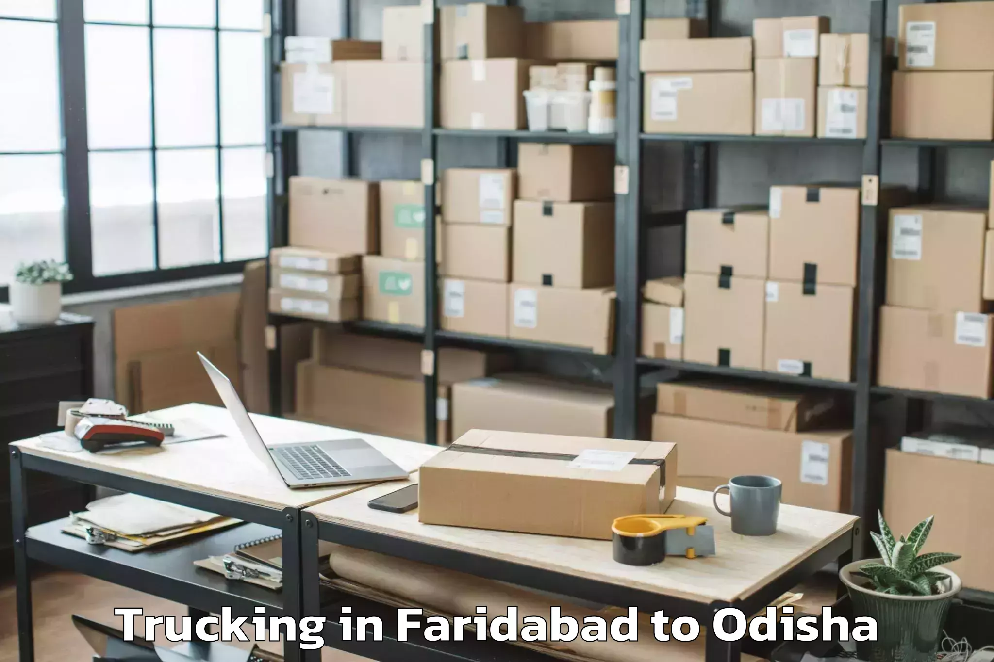 Book Faridabad to Laikera Trucking Online